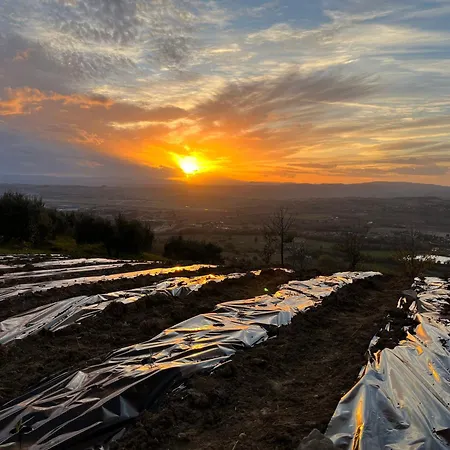 Semesterbostad I Profumi Della Terra Sterpeto